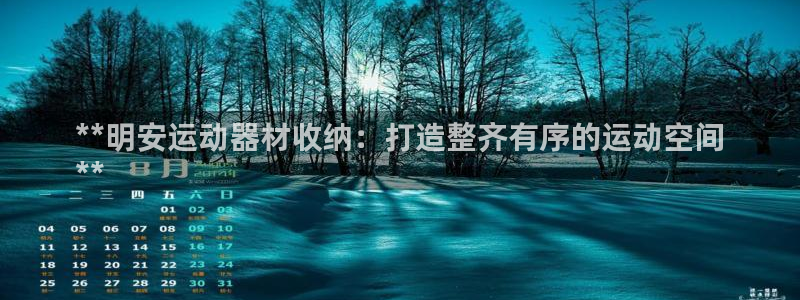 意昂3娱乐代理怎么样：**明安运动器材收纳：打造整齐