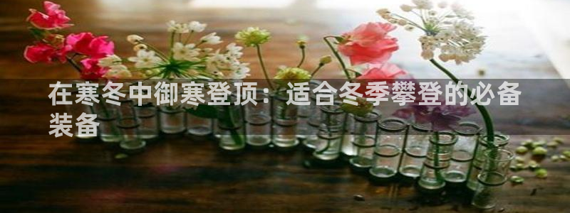 意昂3集团官网首页网址：在寒冬中御寒登顶：适合冬季攀