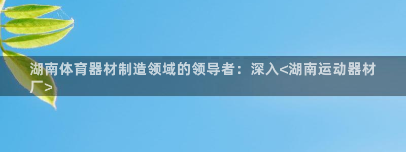 意昂体育3平台假的吗是真的吗吗：湖南体育器材制造领域