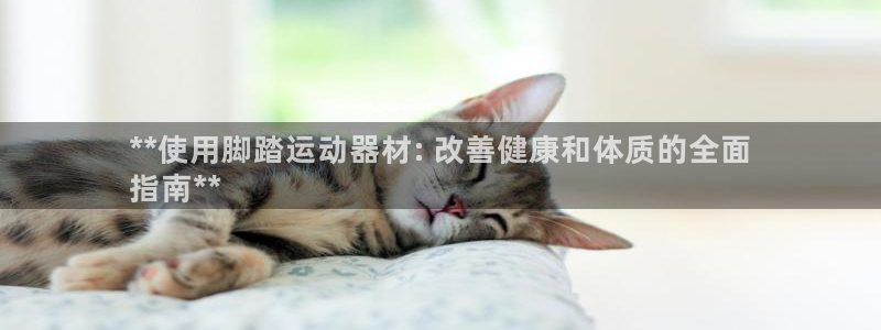 意昂3官网：**使用脚踏运动器材: 改善健康和体质的全面
指