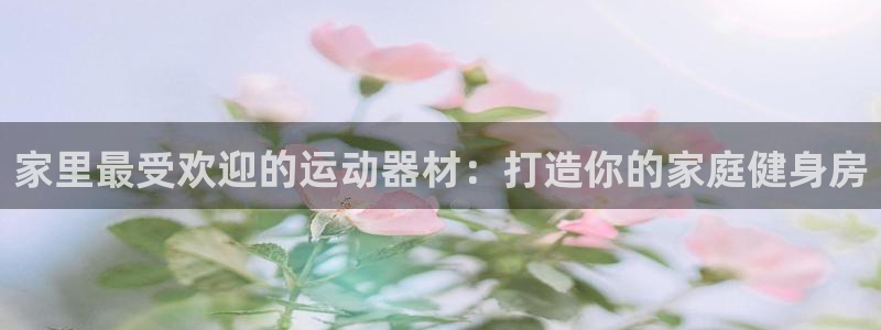 意昂3神州：家里最受欢迎的运动器材：打造你的家庭健身